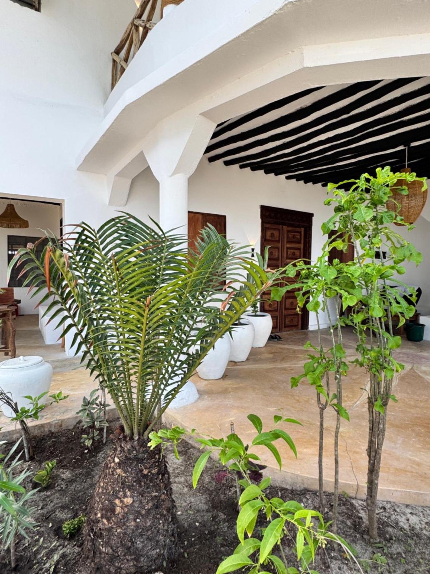 Mango Beach House 잠비아니 외부 사진